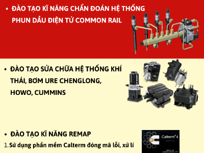 LONG TRƯỜNG GIANG mở khóa đào tạo đặc biệt Tháng 1/ 2026